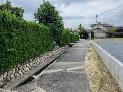 南道路　東から
